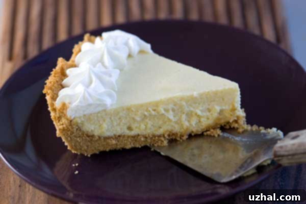 Tangy slice of Key Lime Pie with a creamy filling and a graham cracker crust