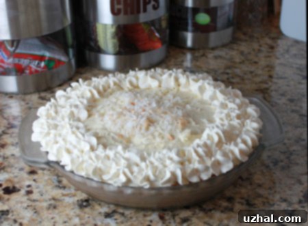 Slice of White Chocolate Coconut Pie with a creamy filling and shredded coconut