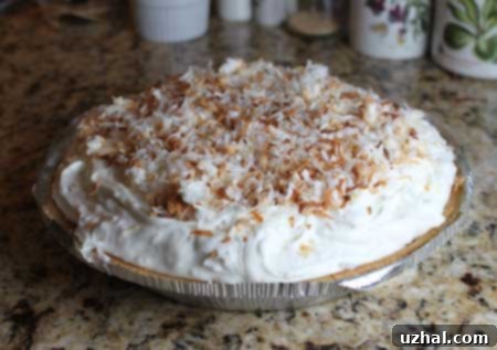 Easy Cream of Coconut Pie slice with a smooth, tropical coconut filling