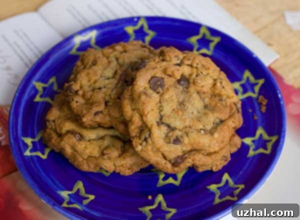 Chocolate Chip Cookies