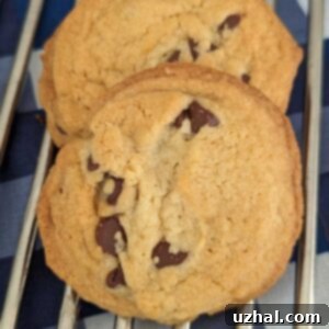 Clarified Butter Chocolate Chip Cookies