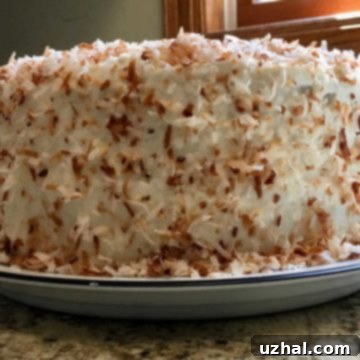 Coco Real Coconut Layer Cake - garnished with toasted coconut