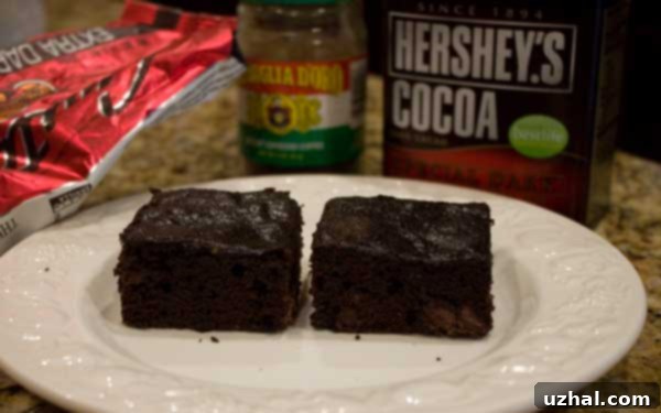 Reduced-Fat Prune Brownie