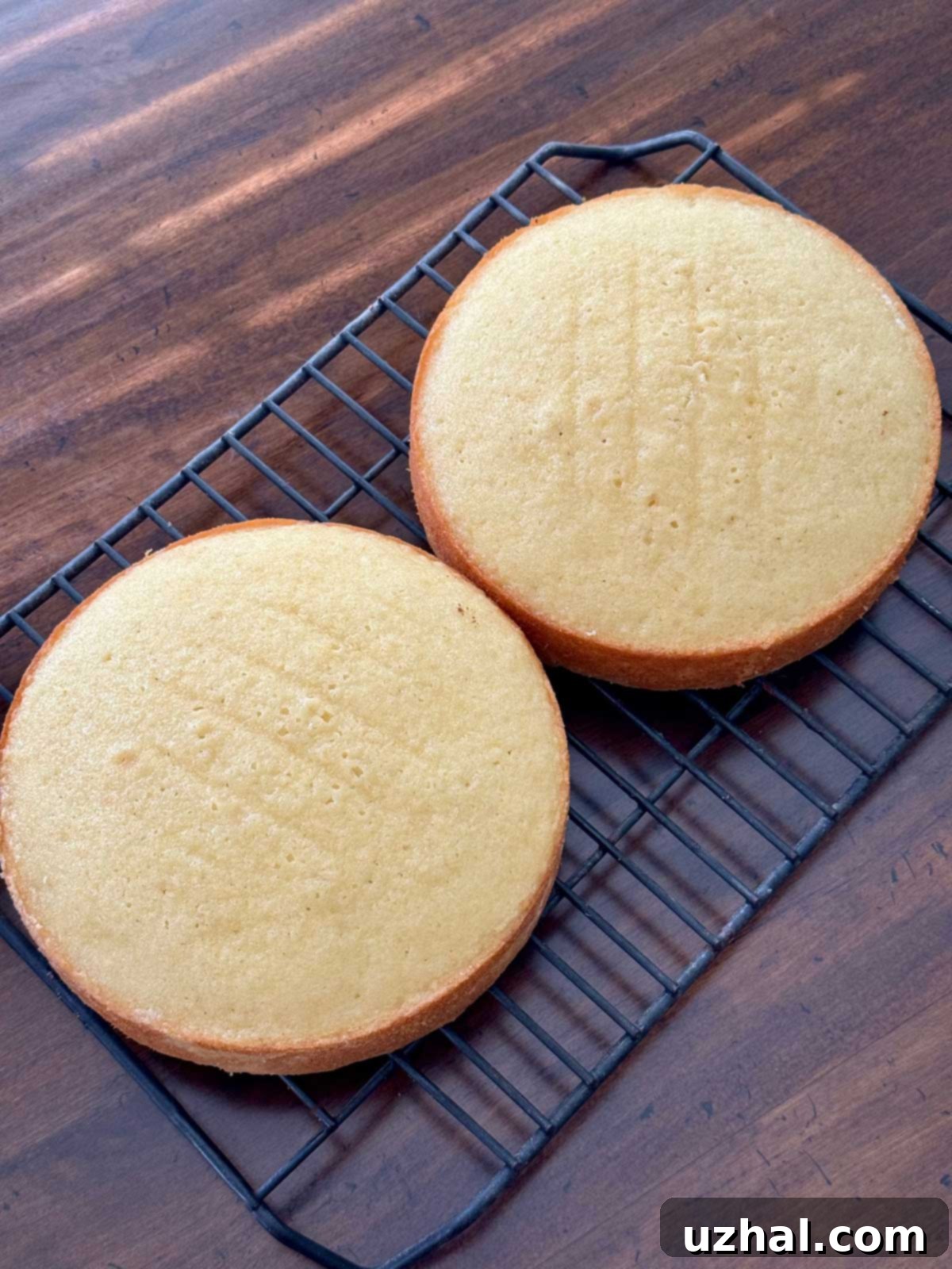 Two six inch coconut cakes