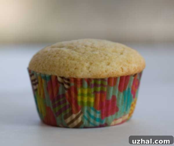 A beautifully baked vanilla buttermilk cupcake with a perfectly golden and rounded top, showcasing its tender crumb.