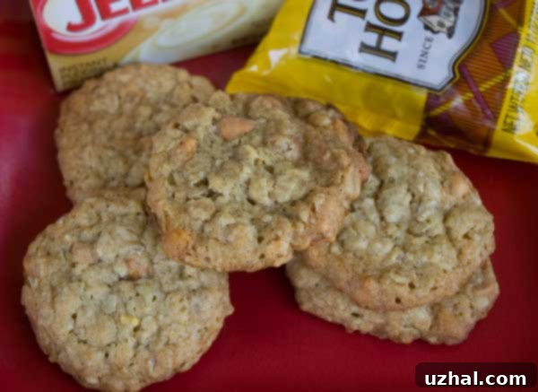 oatmeal cookies made with instant pudding mix