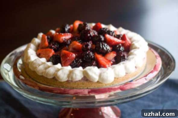 Triple Berry Mousse Tart with a rich, creamy texture and berry topping