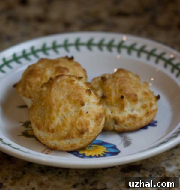 White Lily Flour Biscuit Bonanza Giveaway 2 White Lily Flour Biscuits