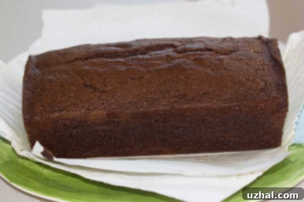 Close-up of a slice of delicious Double Chocolate Chip Bread