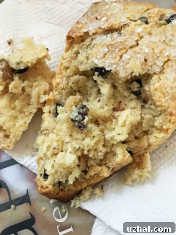 Maple Scones texture shot