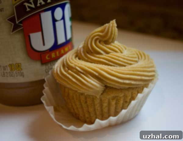 Peanut Butter and Jelly Cupcake