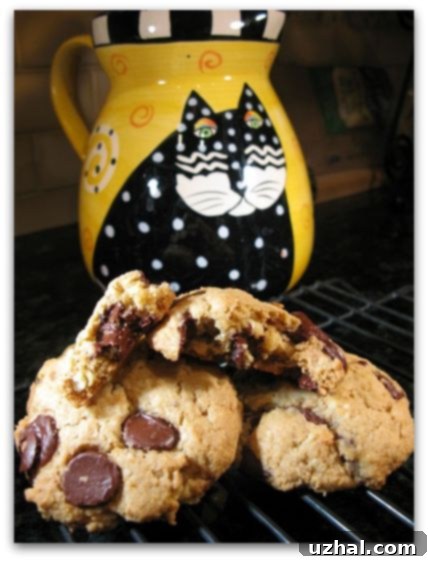 Delicious Vegan Oatmeal Chocolate Chip Cookies, golden brown with melty chocolate chips, resting on a cooling rack.