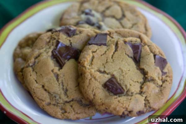 jumbo chewy chocolate chunk cookies