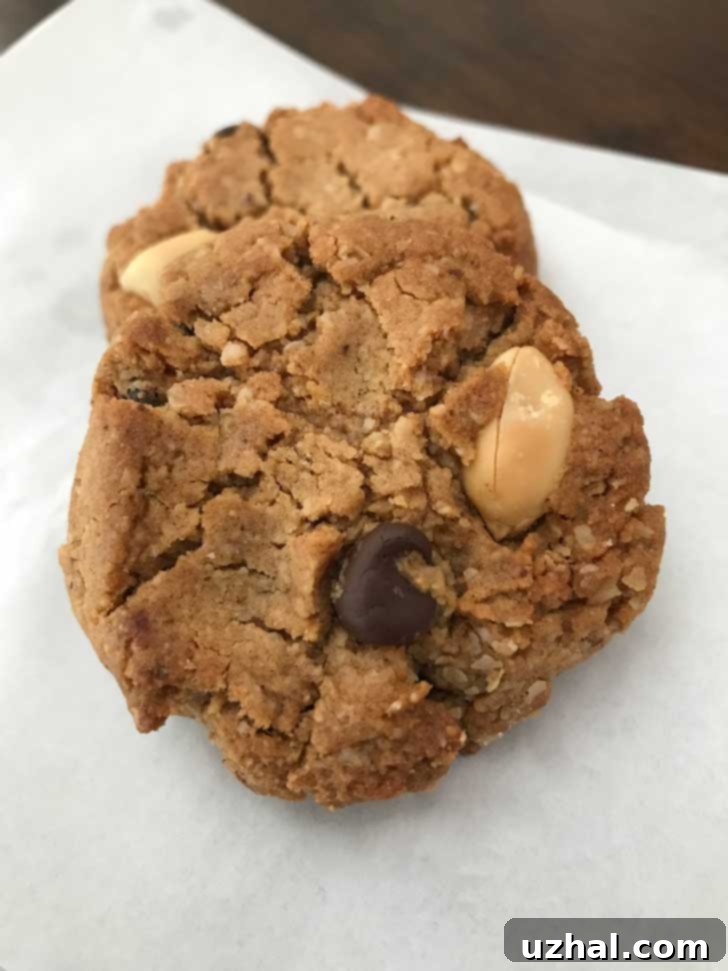 Soft & Chewy Vegan Oatmeal Peanut Butter Chocolate Chip Cookies 2 Close-up of freshly baked vegan oatmeal peanut butter chocolate chip cookies on a cooling rack.
