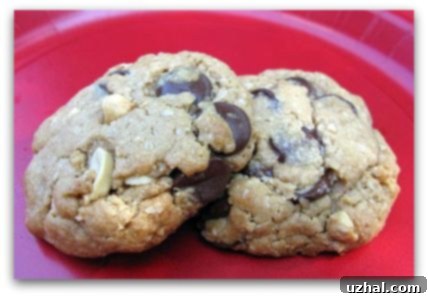 vegan-peanut-butter-chunk-cookie-002 Stack of freshly baked vegan oatmeal peanut butter chocolate chip cookies, showing their texture and deliciousness.