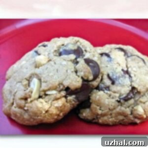 Soft & Chewy Vegan Oatmeal Peanut Butter Chocolate Chip Cookies 4 Vegan Peanut Butter Chocolate Chunk Cookies