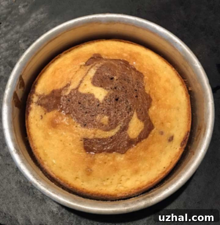 Close-up of the delicious and moist Enhanced Marble Cake