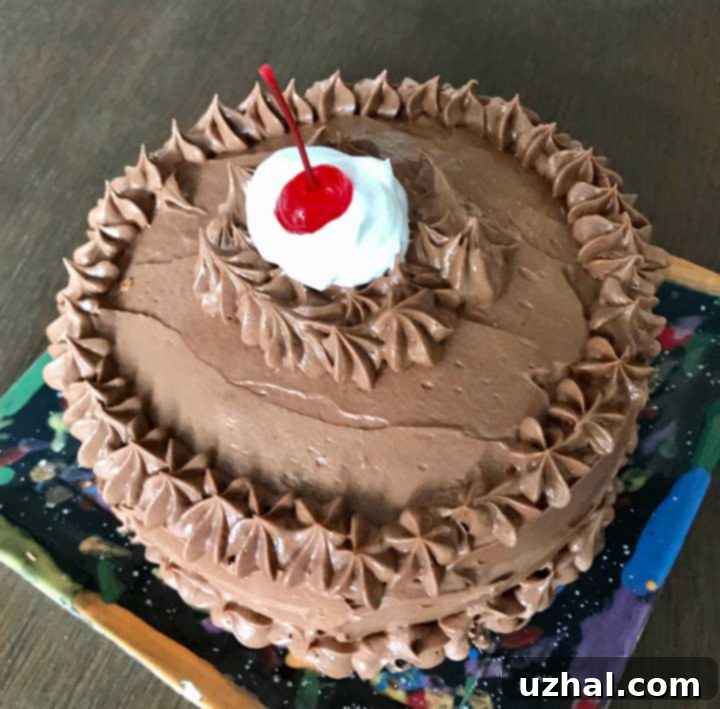 Six Inch Enhanced Cake Mix Marble Cake with elegant frosting