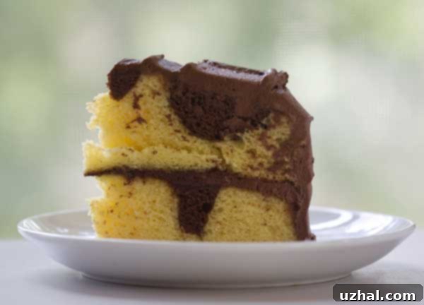 Enhanced Marble Cake