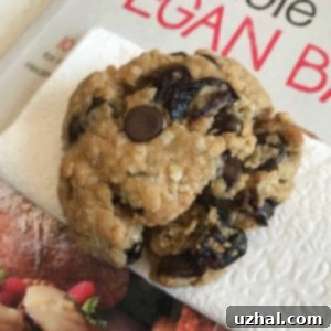 Close-up of baked whole grain vegan cookies with chocolate chips