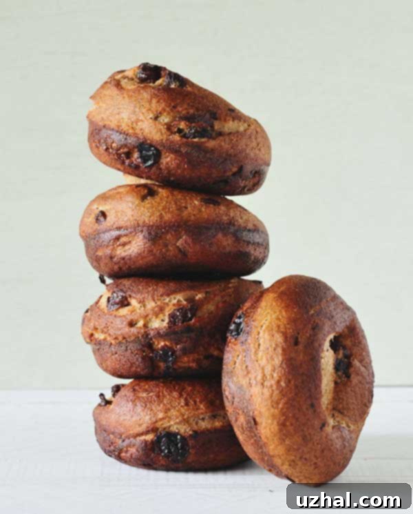 Cinnamon Raisin Rye Bagels, a delicious vegan whole grain recipe