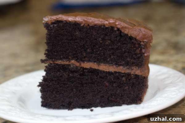 Chocolate Mayonnaise Cake