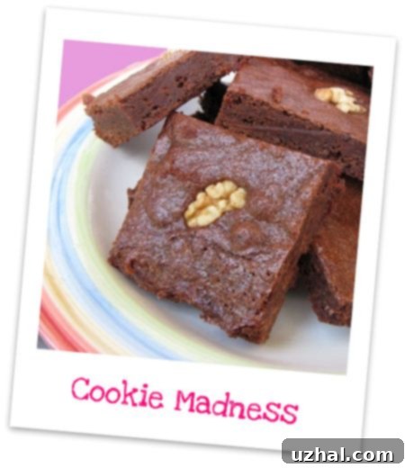 Easy Fudgy One-Bowl Brownies 3 Close-up of a square One Bowl Cocoa Brownie
