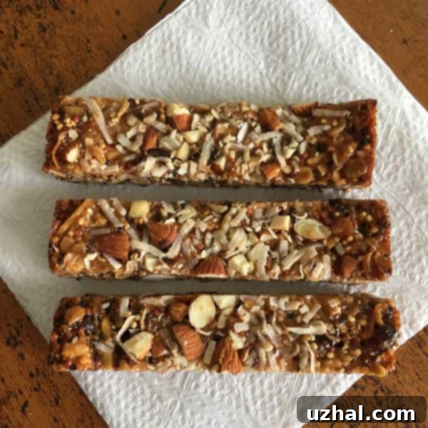 Toasted Quinoa Bars