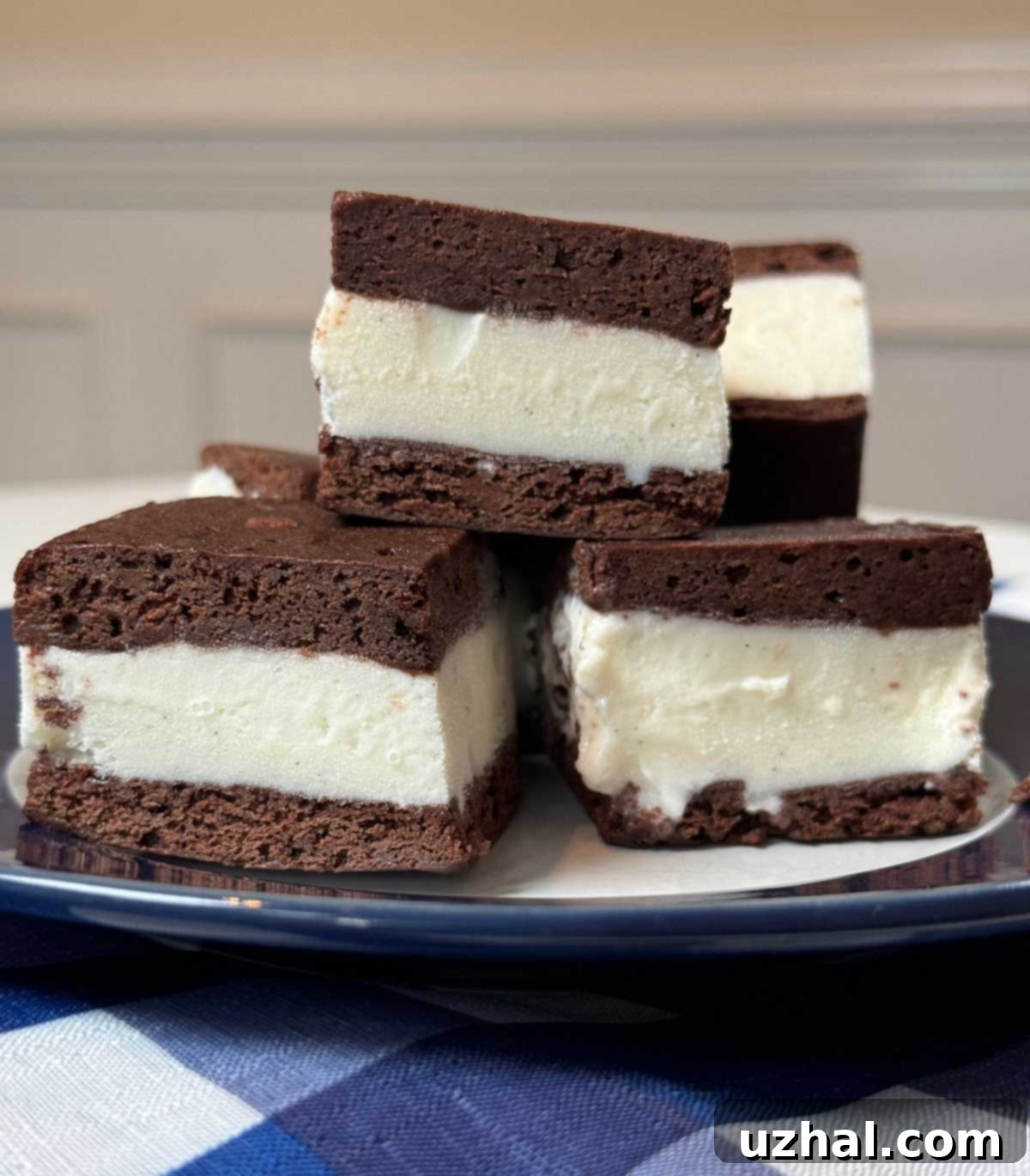 Homemade Ice Cream Sandwiches