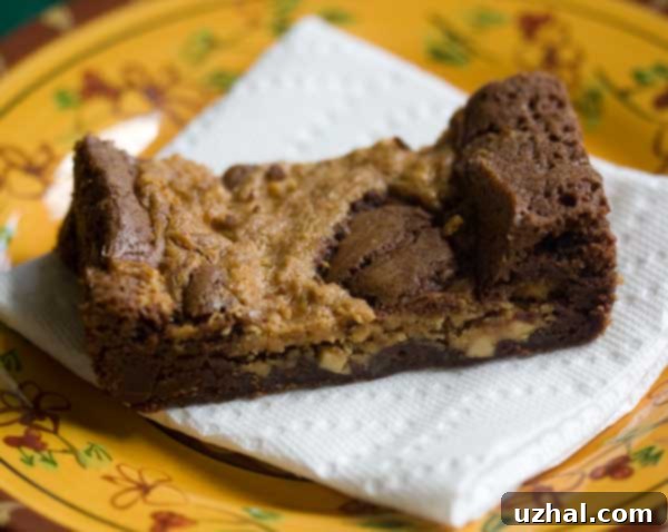 Peanut Butter Swirl Brownies