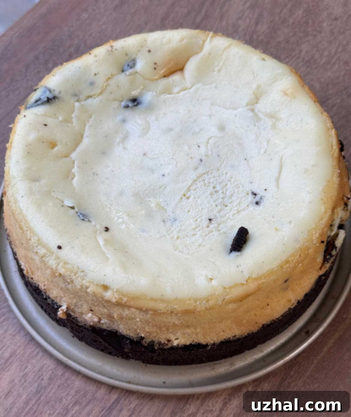 A freshly baked Oreo cheesecake cooling inside an oven with the door ajar, an essential step to prevent cracking.