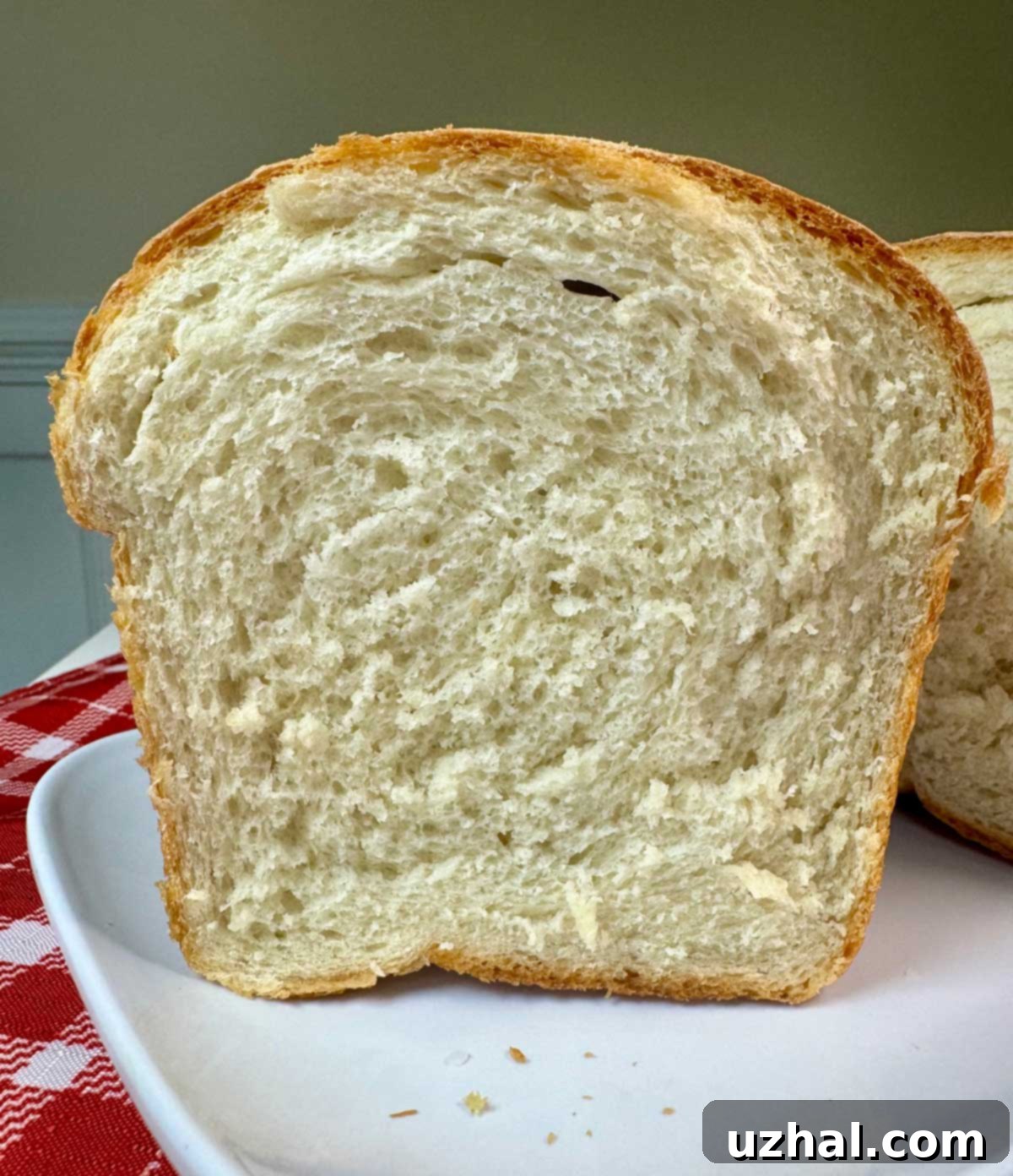 Cross-section of homemade basic white bread, revealing a soft, airy crumb structure.