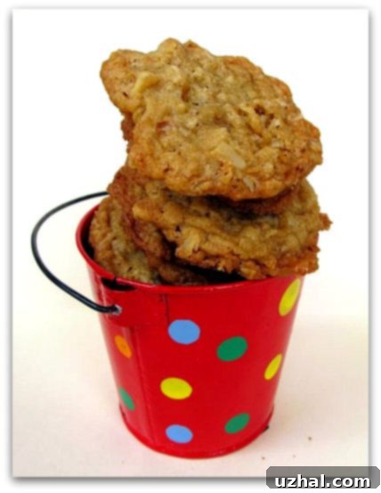 Oatmeal Crispies