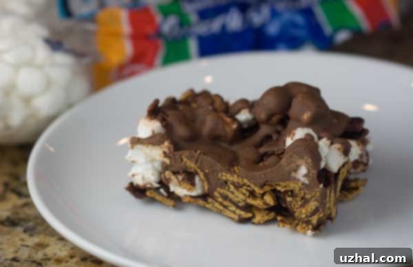 Indulgent Indoor S'mores bars made with Golden Grahams, dark chocolate, and marshmallows, drizzled with milk chocolate.