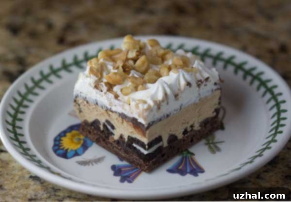 Layered Black Silk Ice Cream Brownie Dessert