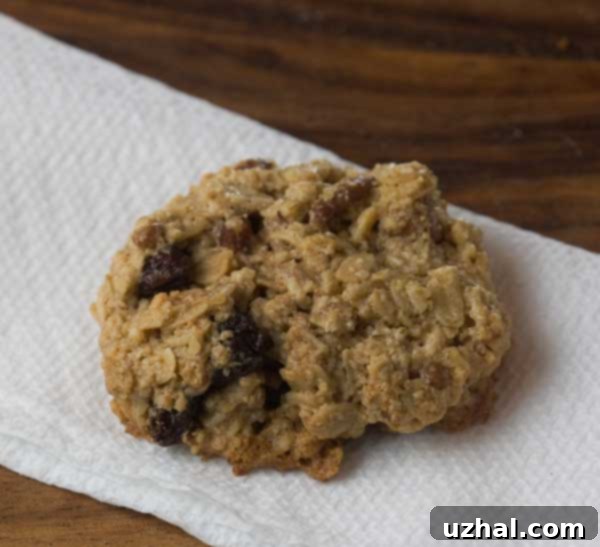 Gluten Free Oatmeal Cookies