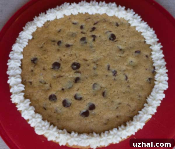 Gluten Free Vegan Cookie Cake