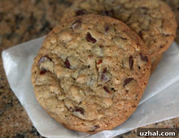 Perfectly baked, medium-thickness Chocolate Chip Cookies with a slight chew and nutty undertones