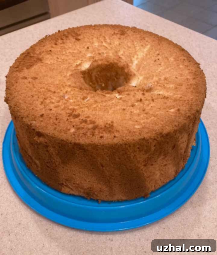angel food cake