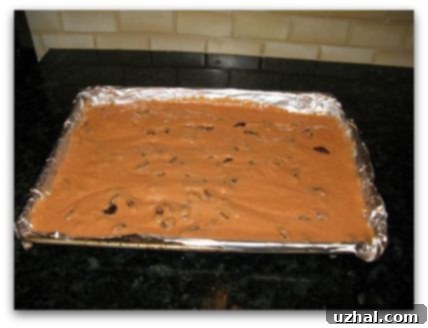 tomato soup bars uncooked