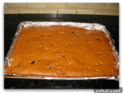 tomato soup bars