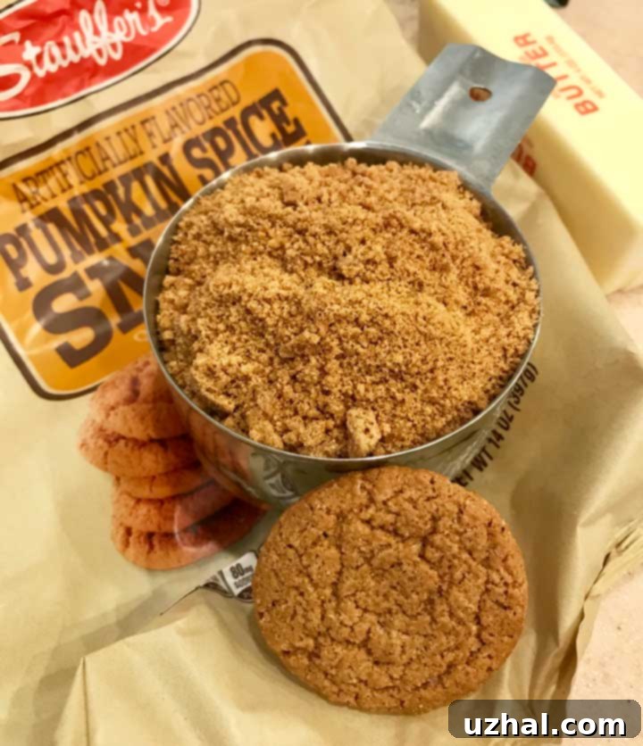 Close-up of a homemade Gingersnap Crust, showing its rich color and texture.