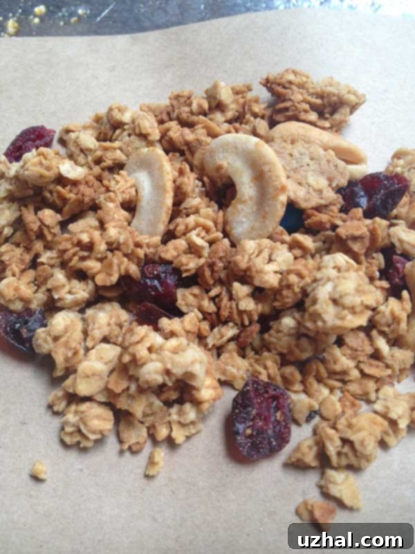 Close-up of golden Jif Cashew Butter Granola, a delicious and crunchy homemade breakfast or snack.