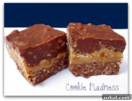 Delicious Homemade Chocolate Peanut Butter Fudge Crunch Bars, a perfect no-bake dessert