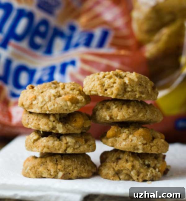Miniature Butterscotch Oat Cookies
