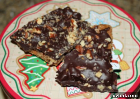 Pieces of graham cracker candy topped with melted chocolate and festive sprinkles.