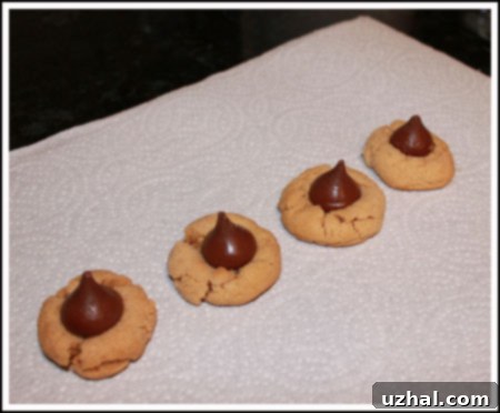 Classic peanut butter blossom cookies with a chocolate kiss in the center.