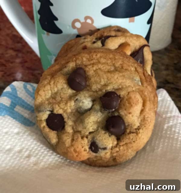 classic crunchy chocolate chip cookies