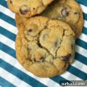 Classic Crunchy Chocolate Chip Cookies from King Arthur Cookie Companion