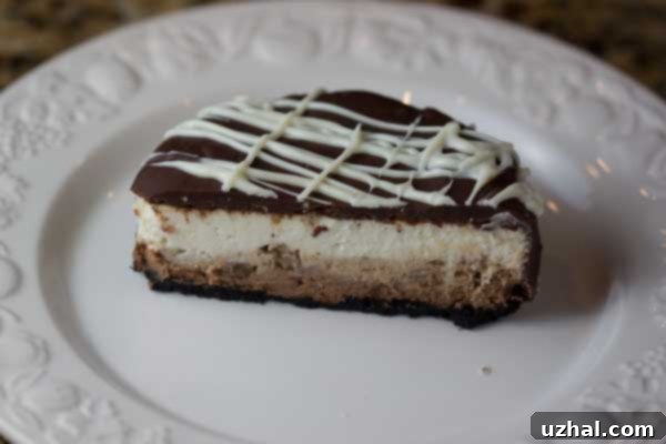 Chocolate Glazed Triple Layer Cheesecake Cut